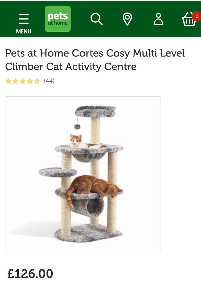 cat activity centre pets at home